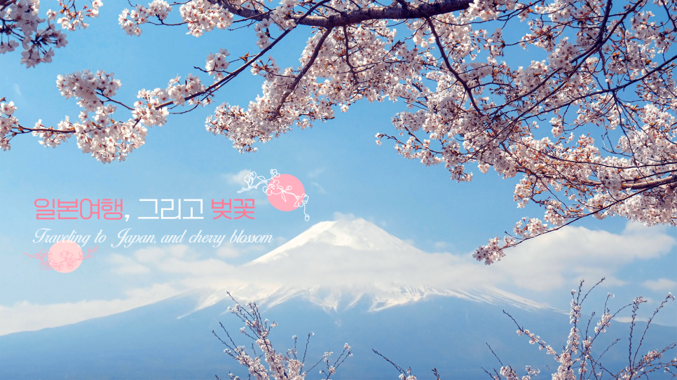 일본여행, 그리고 벚꽃, 여기에 로밍