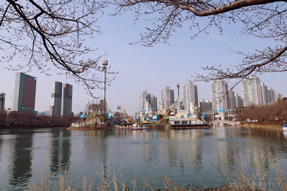 서울 벚꽃 명소 잠실 2024 석촌호수 벚꽃축제 개화 상황