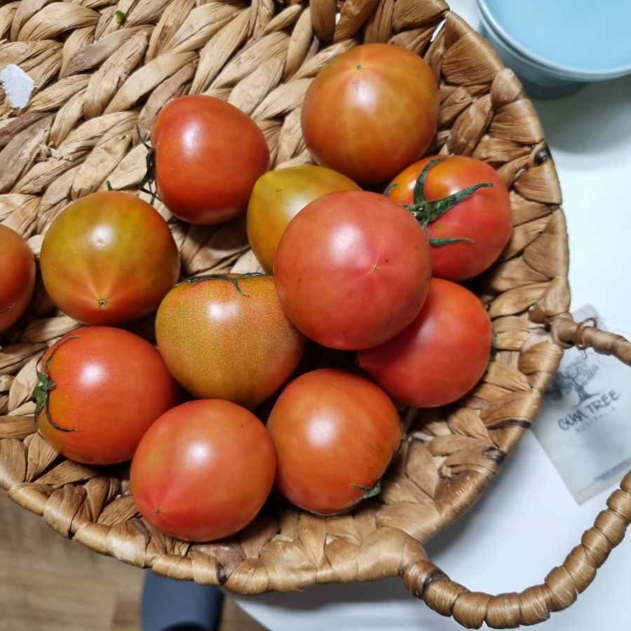 라이코펜 풍부한 토마토 효능 대저짭짤이 흑토마토 토마토즙 공복 섭취가 좋을까?