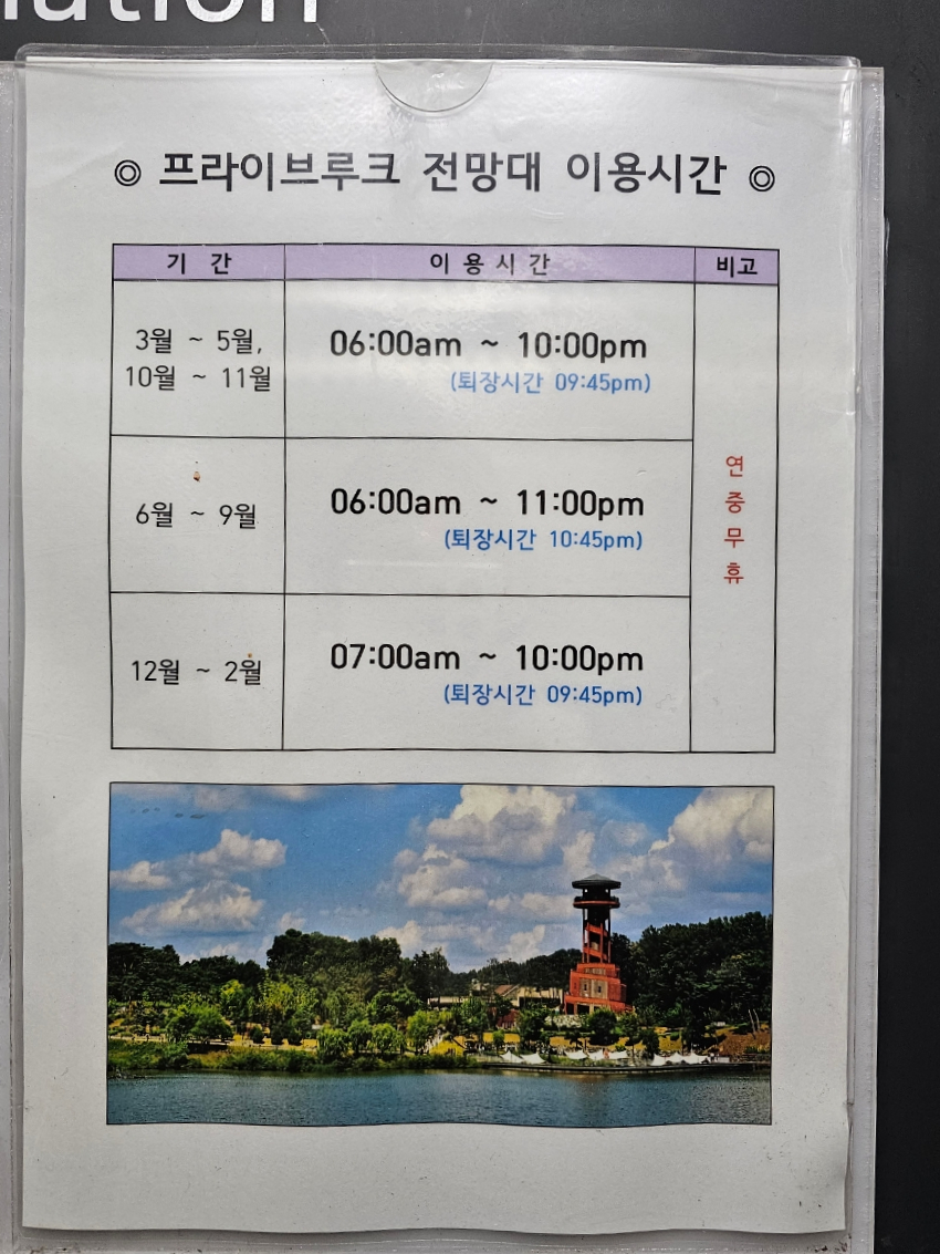 매화꽃 핀 광교호수공원 하루 30분 걷기