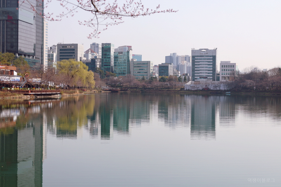 서울 벚꽃 명소 잠실 2024 석촌호수 벚꽃축제 개화 상황