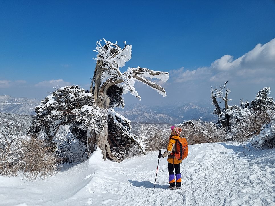 [태백산국립공원] 태백산, 춘삼월 설레는 설경의 마법 속으로
