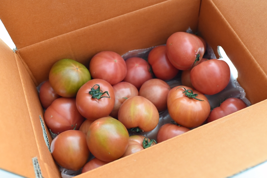 맛있는형제들 대저 짭짤이 토마토 1kg 2.5kg 도착