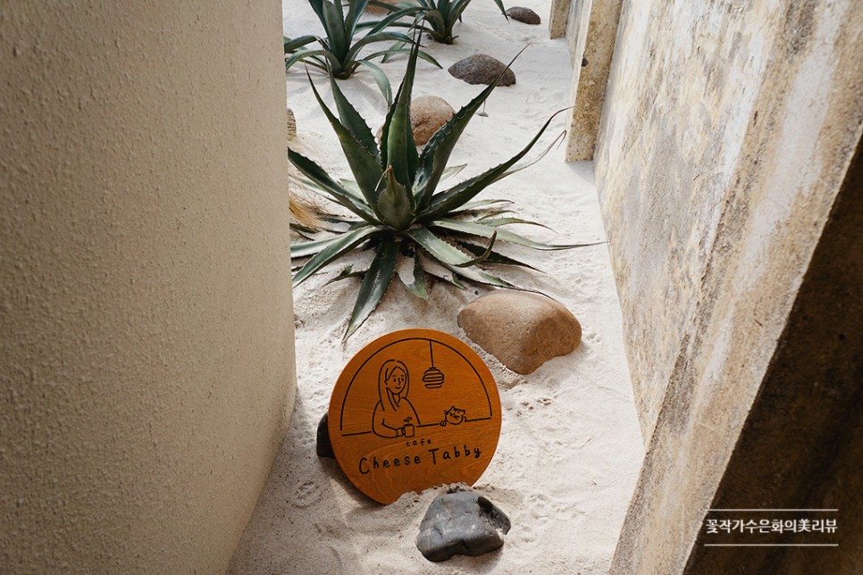제주 카이막 2탄 작고 예쁜 식물원이 있는 카페 치즈태비