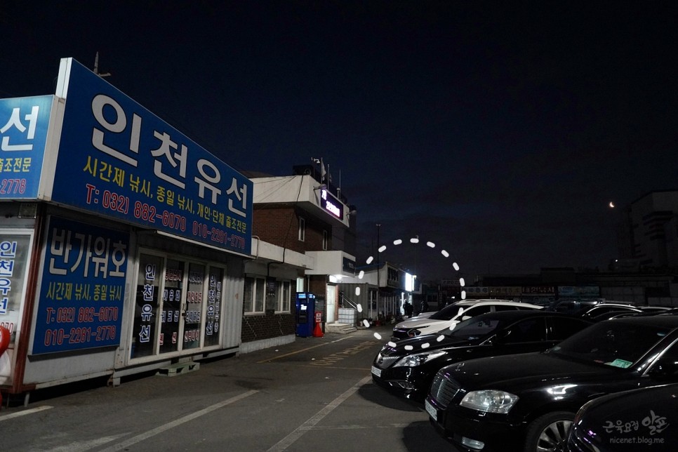 인천배낚시 가격과 3월 인천 바다낚시 후기