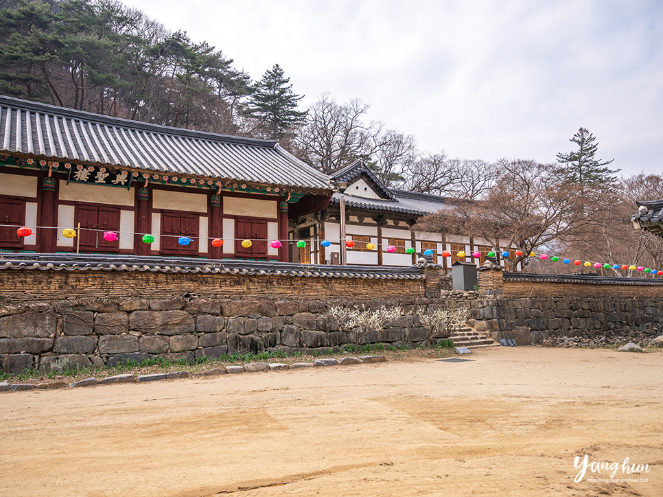 봄 공주 여행지 데이트 공주 마곡사 볼거리