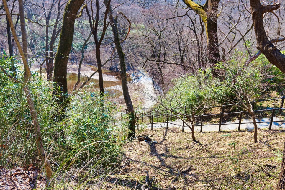 [계룡산국립공원] 산책하기 좋은 국립공원 사찰여행, 공주 갑사