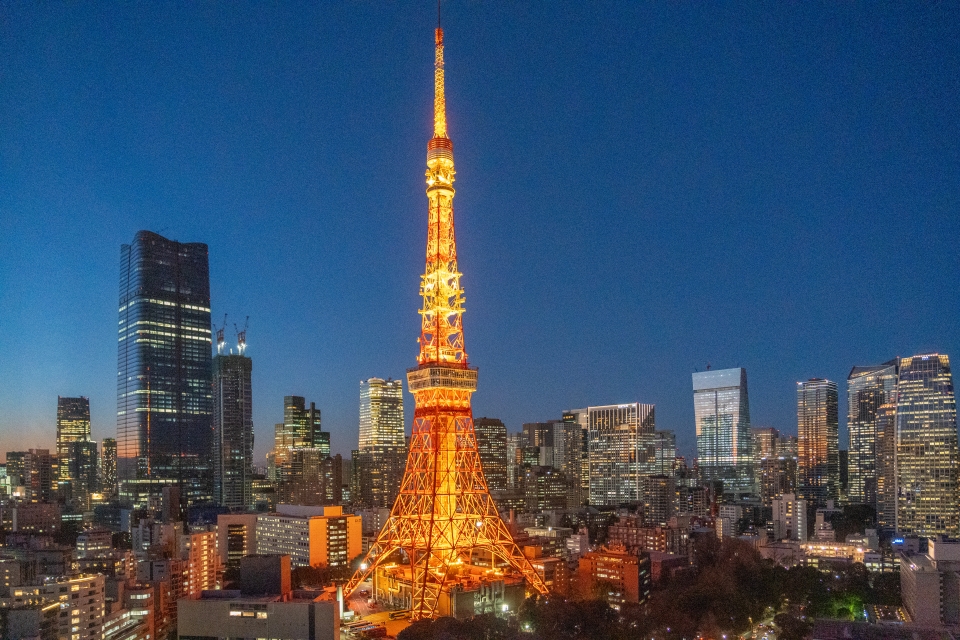 도쿄 숙소 더 프린스 파크 타워 도쿄타워 뷰 호텔 위치 비용