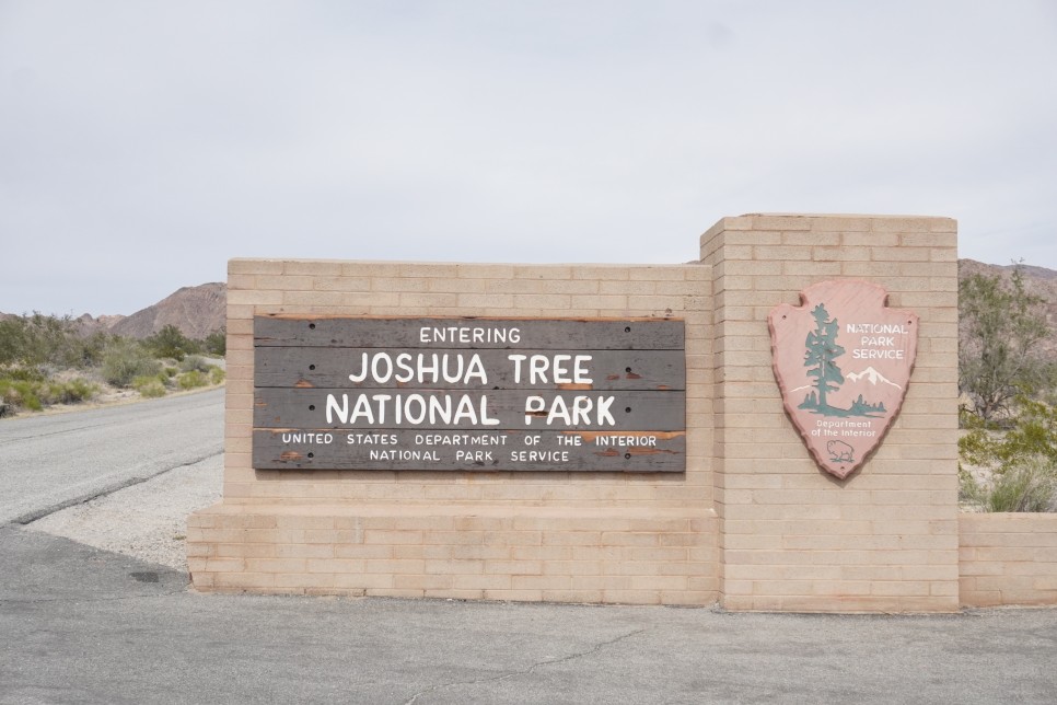 미국 LA 여행 조슈아트리 국립공원 당일치기 투어 날씨, 준비물, 진짜 좋았음❤️ #줌줌투어