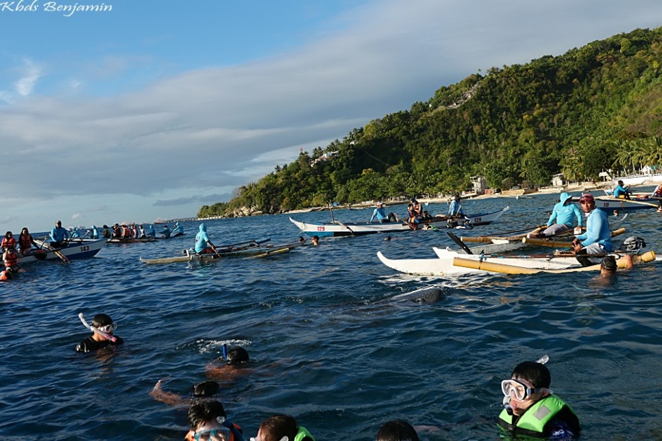 필리핀 세부 여행 비용 오슬롭 투어 모알보알 세부 호핑투어 종류 가격 안전