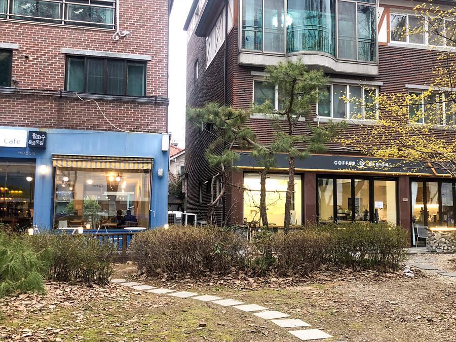 성남 분당 가볼만한곳 서울근교 카페 데이트 분당 애견동반 반려견 식당