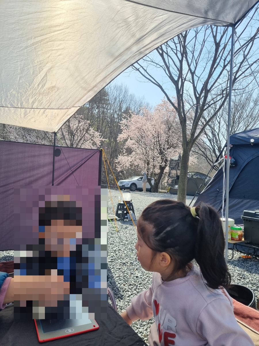 57번째 캠핑) 나름 벚꽃캠 캠핑월드 깨끗해요 ^^