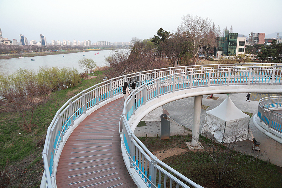 대구 벚꽃 명소 개화 시기 동촌 유원지 금호강 산책로 나들이 자전거길