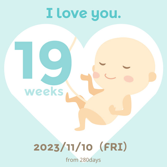 임신 안정기 진입 ! 16주~23주 주수별 배크기 및 증상