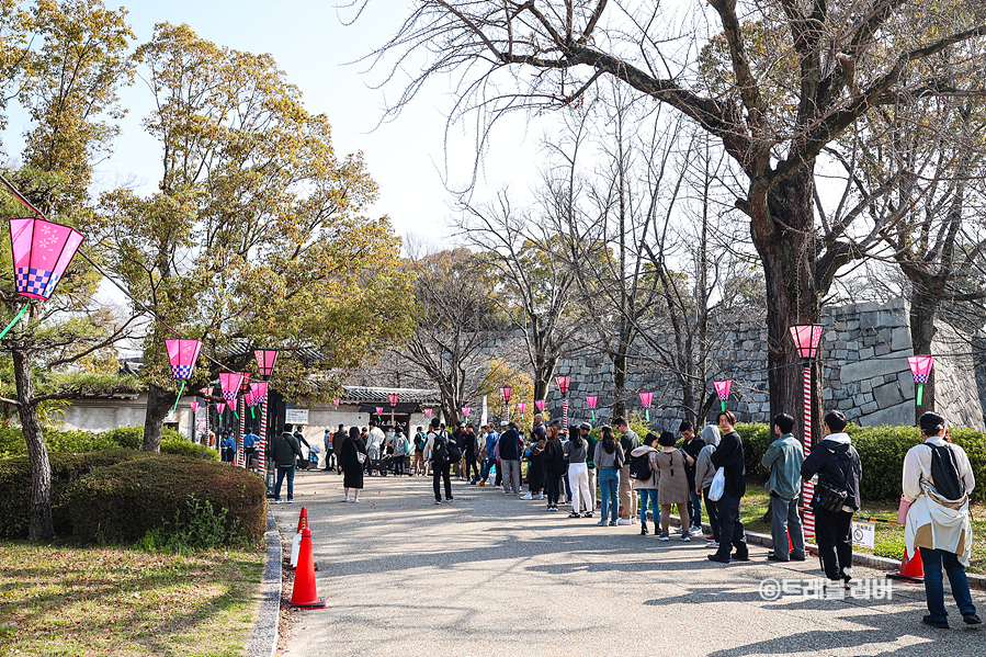 4월 오사카 날씨 실시간 벚꽃 개화 상황 여행 일정 추천