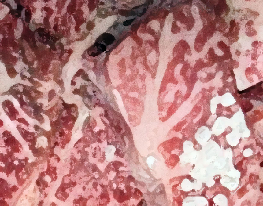 생방송투데이 즉석양념소갈비 식당 위치 당일 작업 원칙으로 이어온 15년 맛의승부사
