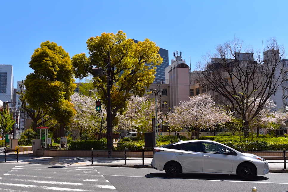 일본 4월 날씨 오사카 도쿄 삿포로 후쿠오카 오키나와 교토 옷차림