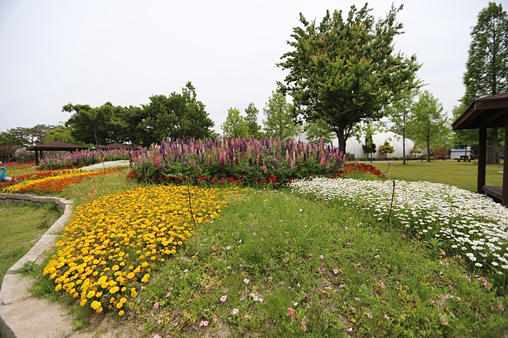 함평엑스포공원  봄축제 (봄꽃축제) 함평나비대축제 가볼만한곳 미리보기