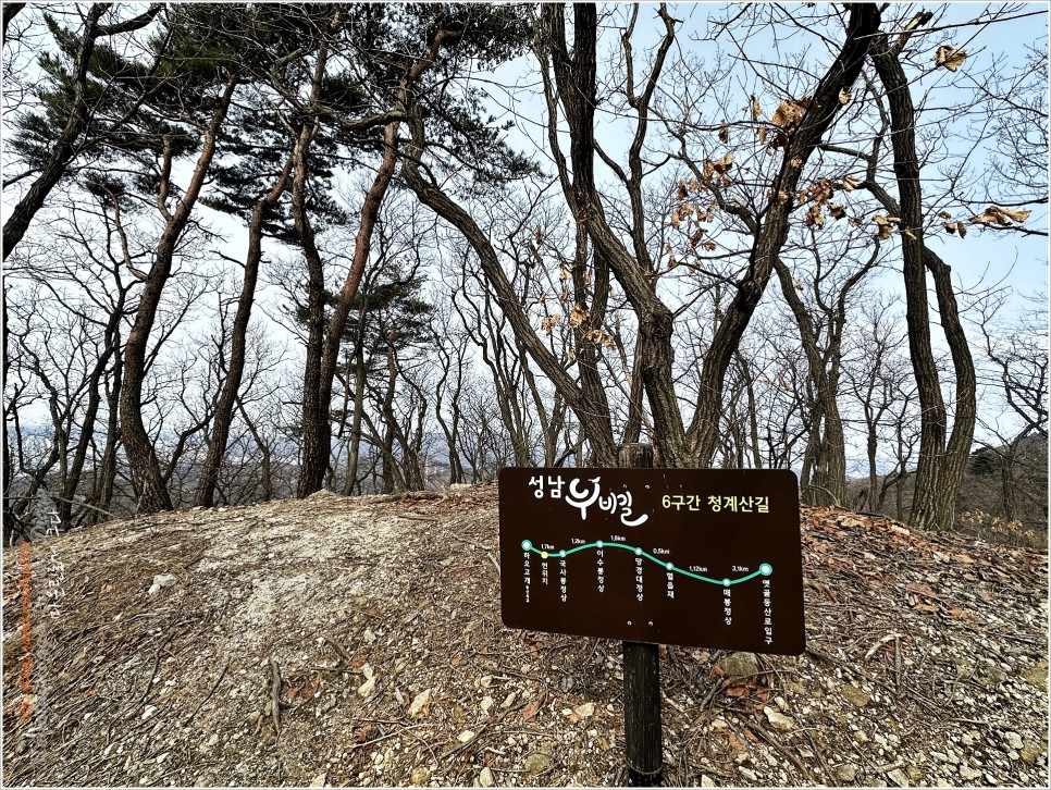 청계산 봄 꽃맞이 산행 (ft. 바람꽃 / 노루귀)