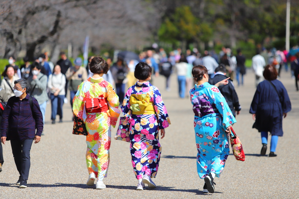 일본 오사카 여행 오사카성 벚꽃 개화상황 열차타고 천수각 가는길