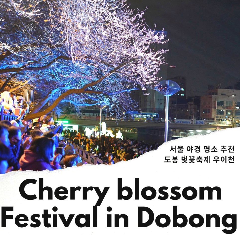 서울 야경 명소 추천 도봉구 가볼만한곳 우이천 벚꽃축제 야간 데이트