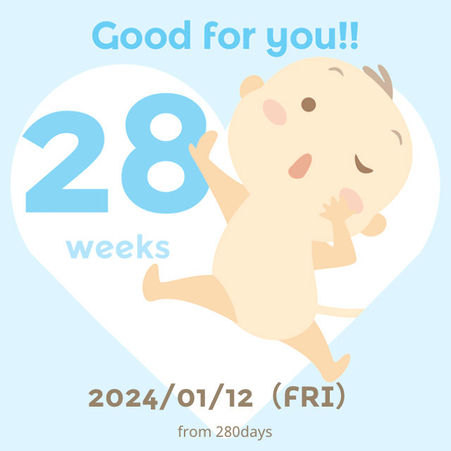 임신 중후반기 24주 ~ 31주 주수별 배크기 및 증상 공유 !