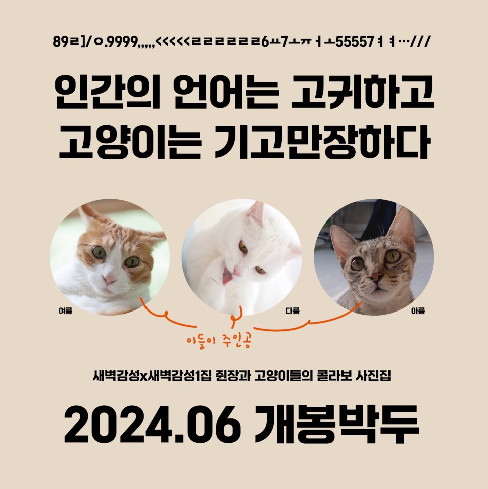 2024 제주북페어 이벤트 및 첫 공개 신간 소식
