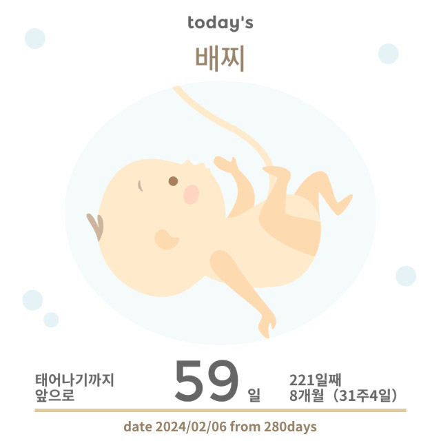 임신 중후반기 24주 ~ 31주 주수별 배크기 및 증상 공유 !