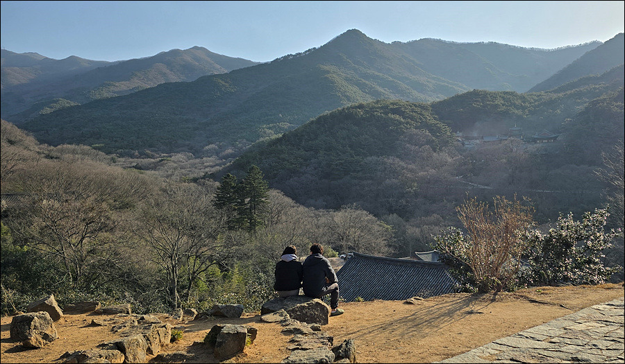 [지리산국립공원] 천연기념물로 지정된 화엄사 홍매화