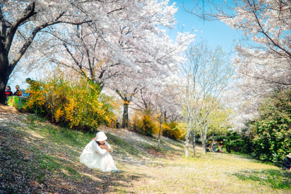 4월 국내여행지 벚꽃부터 철쭉까지 대한민국 사진 명소들