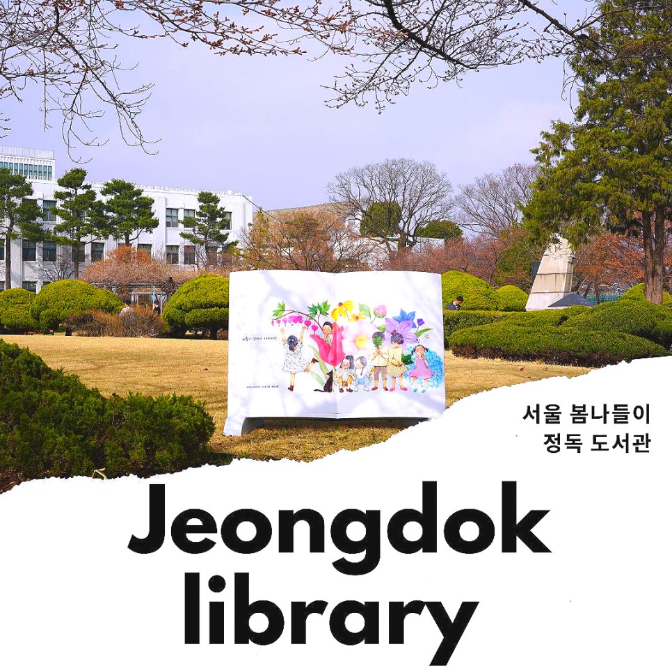 서울 벚꽃 명소 정독도서관 서울 봄나들이 벚꽃 실시간
