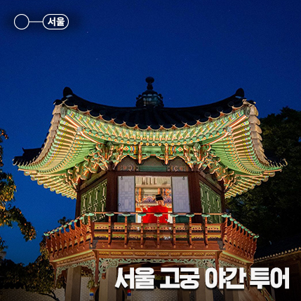 4대 궁궐 야간 개장, 서울 나들이 가기 좋은 고궁 투어 :: 경복궁, 창덕궁, 창경궁, 덕수궁