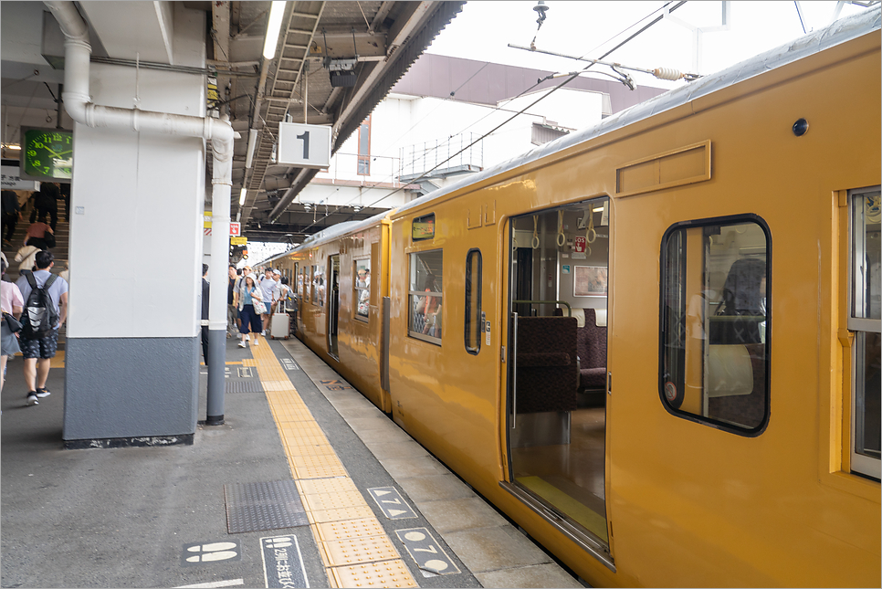 오사카 간사이와이드패스 구입 가격 노선 신칸센 하루카 탑승 JR패스