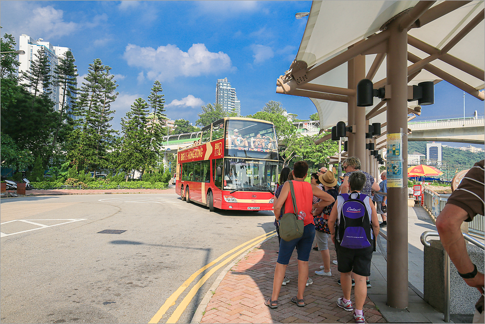 홍콩 빅버스투어 예약 그린라인 노선 탑승 시간표 홍콩자유여행