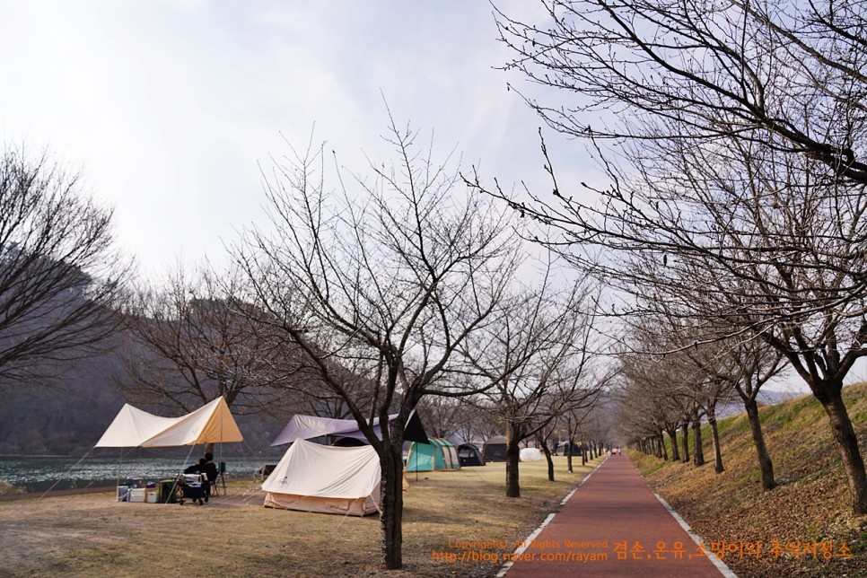 405. 3월 15일 곰들덤공원 캠핑 임고선원강변캠핑장/경북무료캠핑장