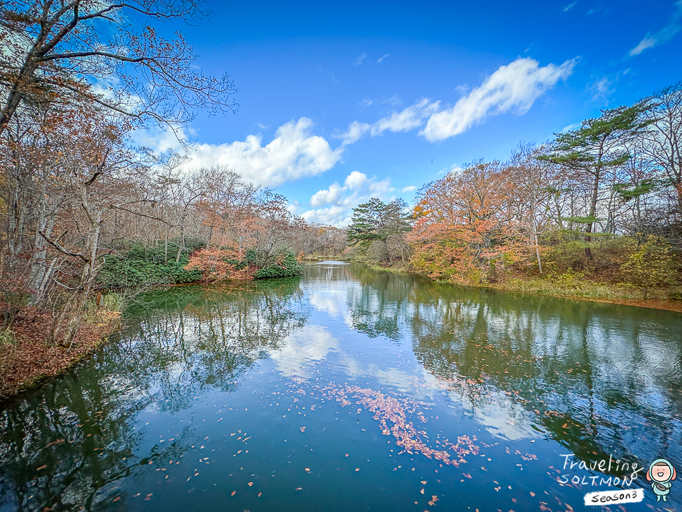 일본 자유여행 홋카이도 삿포로에서 하코다테 3박4일 오누마공원