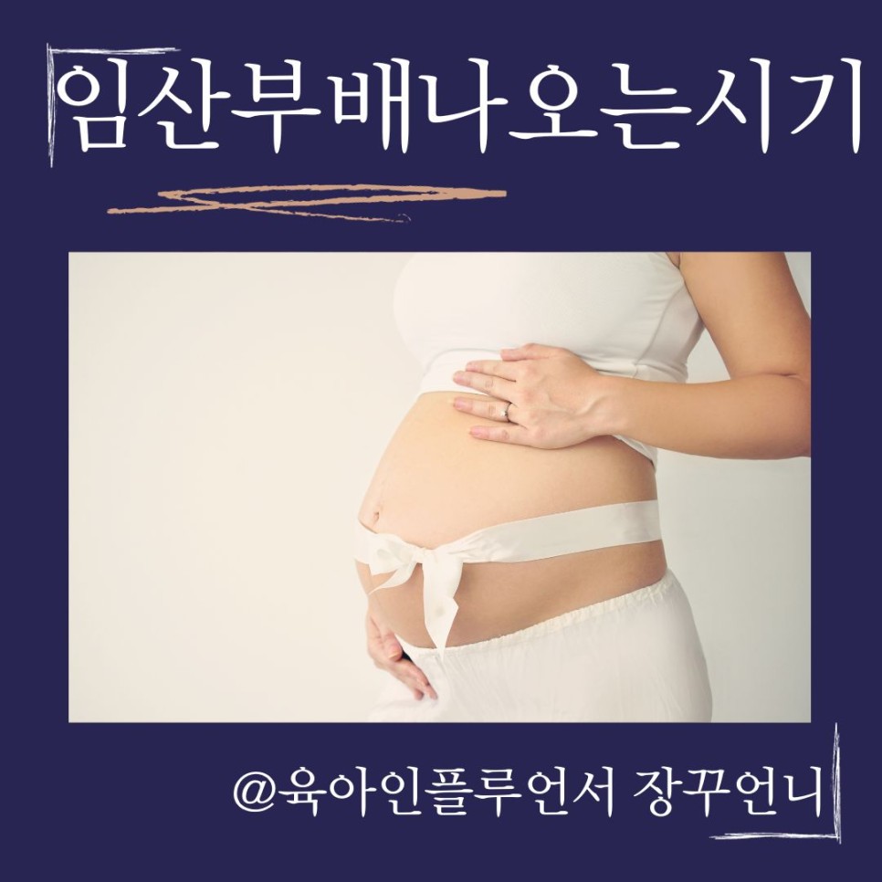 임산부 배나오는 시기 체중증가 임산부 몸무게 정리