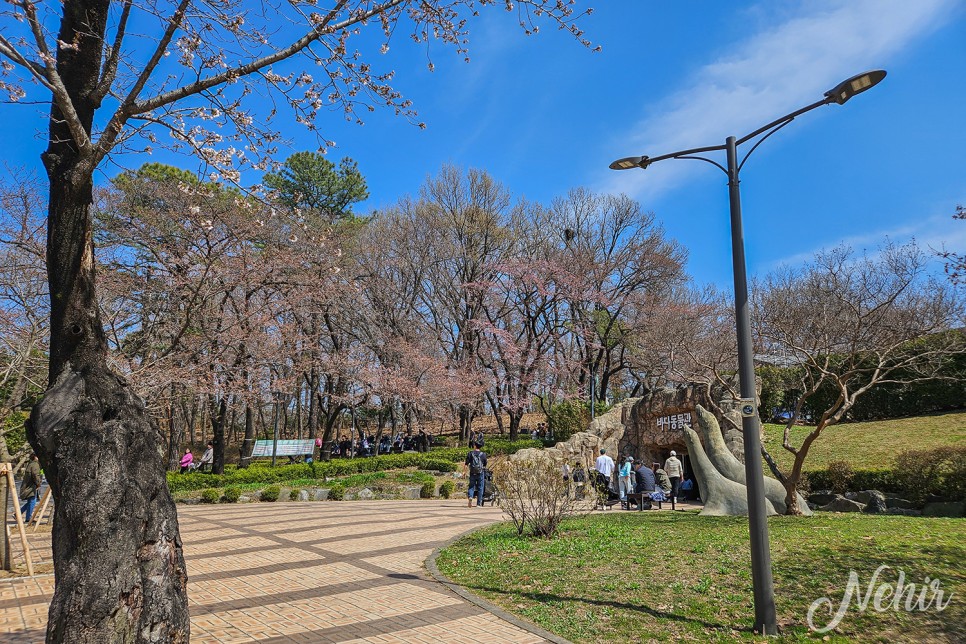 서울 어린이대공원 벚꽃 동물원 놀이기구