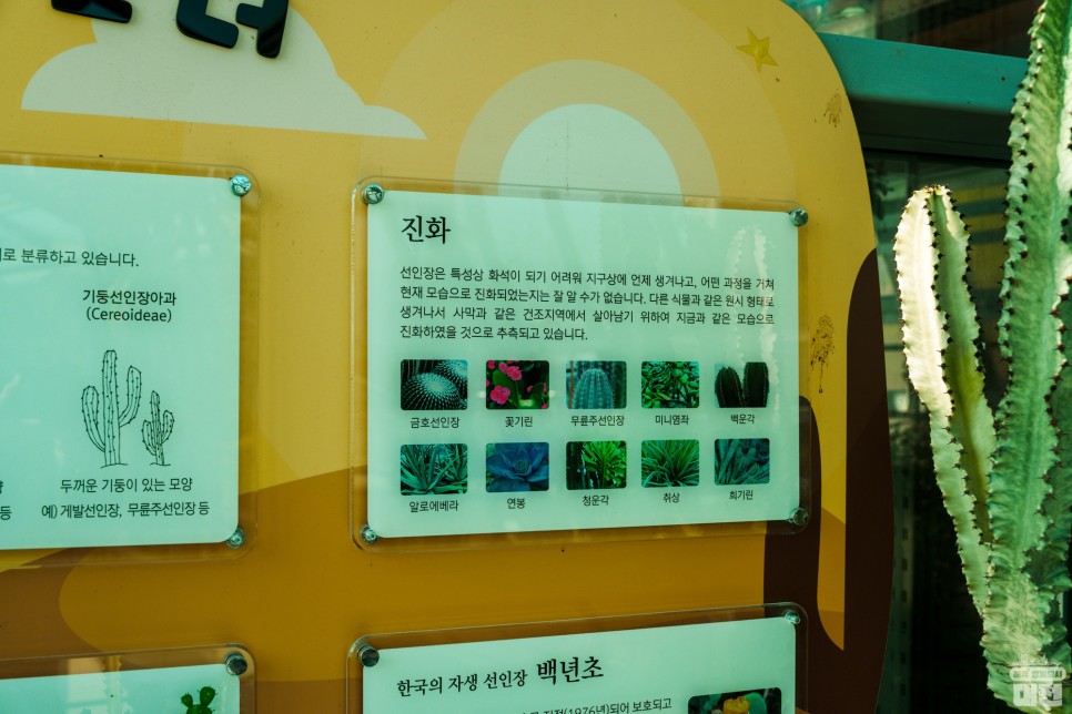 생물의 역사를 배울 수 있는 곳, 대전 국립중앙과학관 생물탐구관
