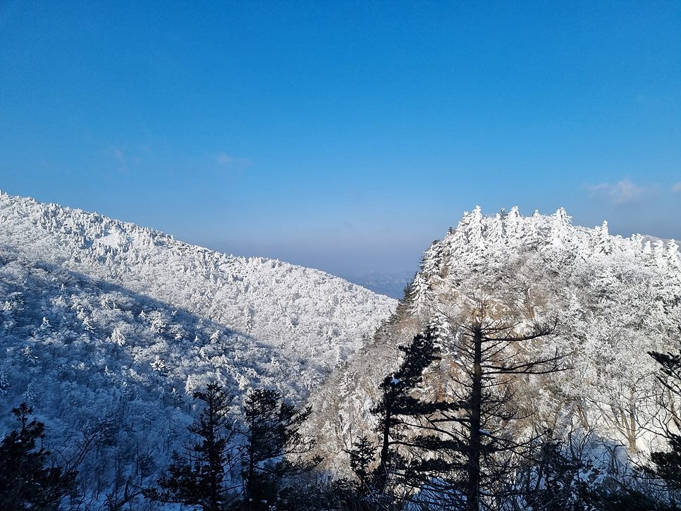 [태백산국립공원] 태백산, 춘삼월 설레는 설경의 마법 속으로