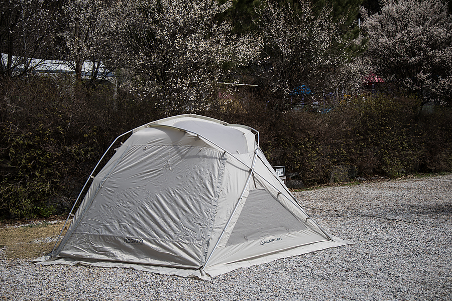 캠핑 텐트 감성 캠핑 알마센 레갈로 돔 쉘터 텐트 추천 사용 후기