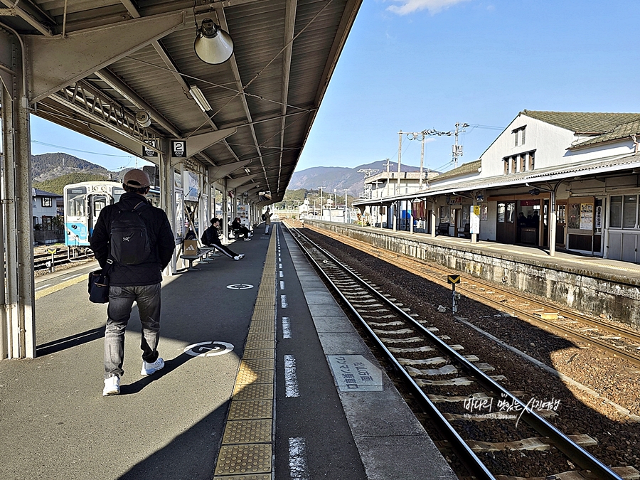 일본 마쓰야마 여행 근교 우치코 오즈 산책 패스로 요산선 타기