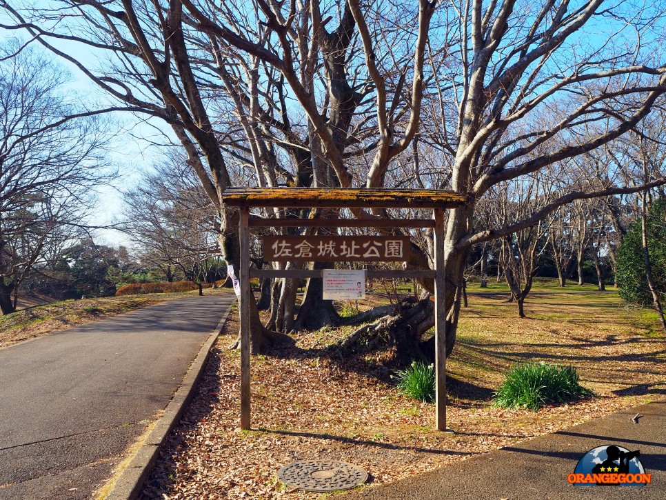 (일본 치바현 / 사쿠라 성터, 모토사쿠라 성터) 벚꽃 명소로 유명한 치바현의 유명 관광지. 이제는 터만 남은 15~17세기의 일본 옛성의 역사속으로