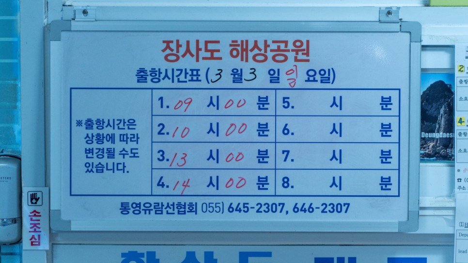 [한려해상국립공원] 통영 장사도 동백꽃 여행