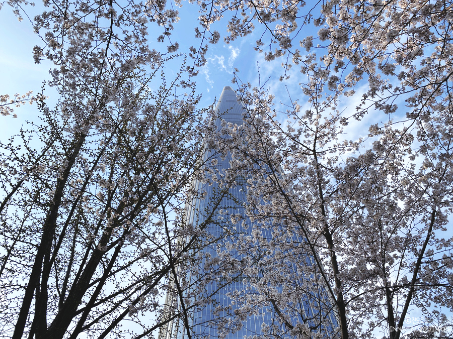 방이 먹자골목 맛집 대박쌈 잠실 석촌호수 벚꽃축제 서울 봄꽃구경