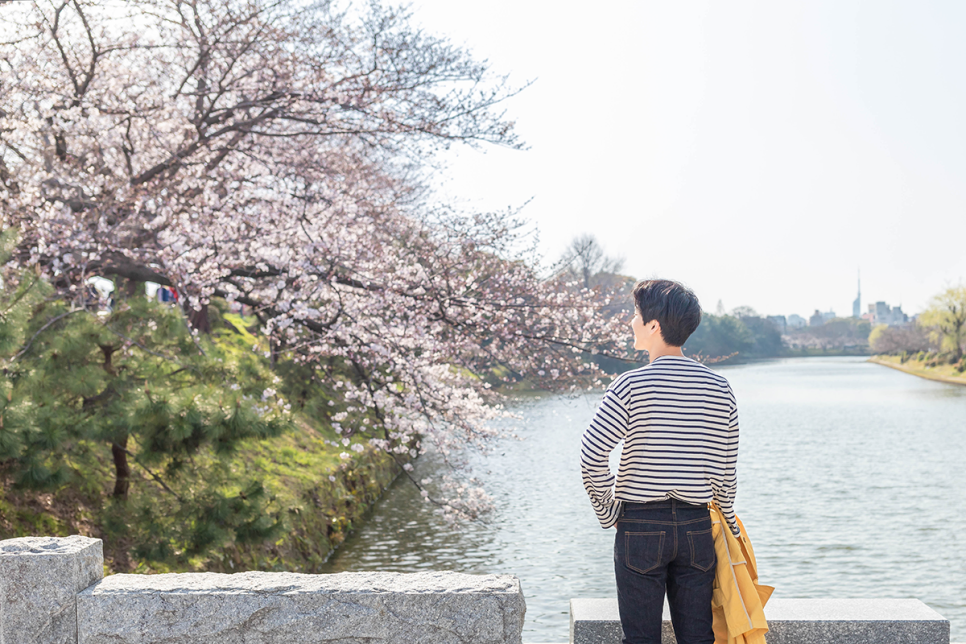 일본 후쿠오카 여행  2024 후쿠오카 벚꽃 축제 마이즈루 공원 & 오호리공원
