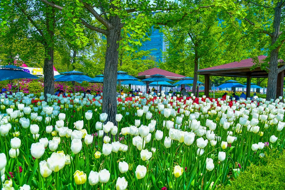 국내여행지베스트10 4월 꽃구경 명소 BEST OF BEST
