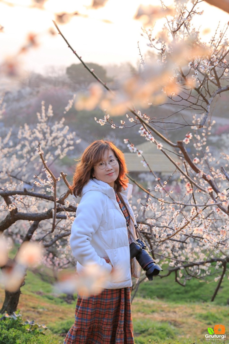 봄꽃축제 2024 광양 매화축제 광양 매화마을 주차장