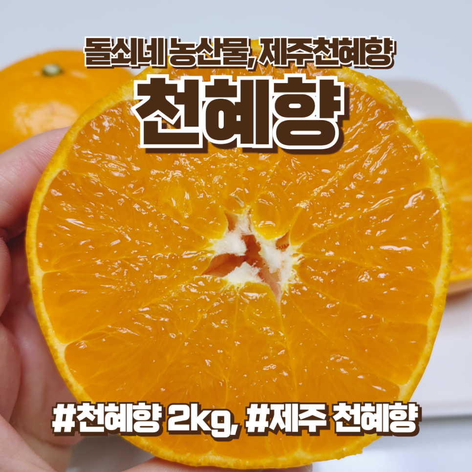 돌쇠네 농산물, 제주 천혜향 2kg, 제철과일 추천