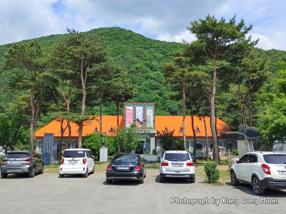 충청도 여행 대전 근교 가볼만한곳 충남 드라이브 코스 나들이 보령 개화예술공원